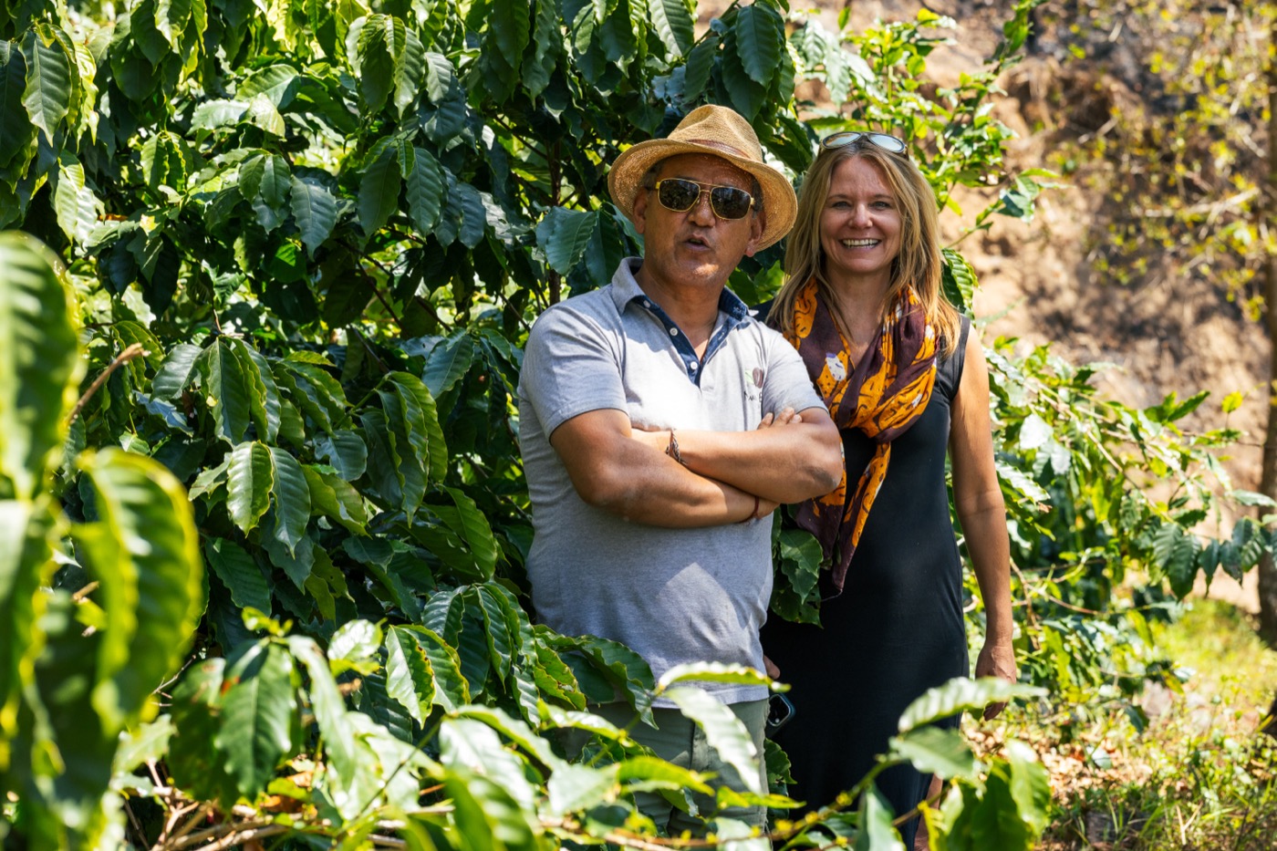 In the coffee gardens